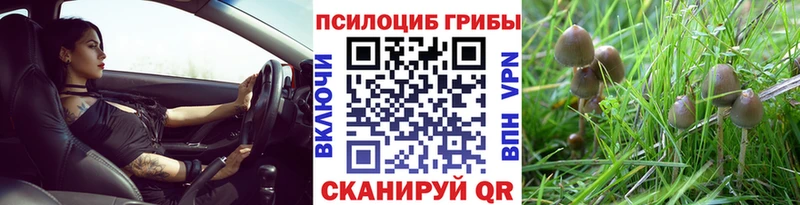 Галлюциногенные грибы GOLDEN TEACHER  магазин продажи наркотиков  Брянск 