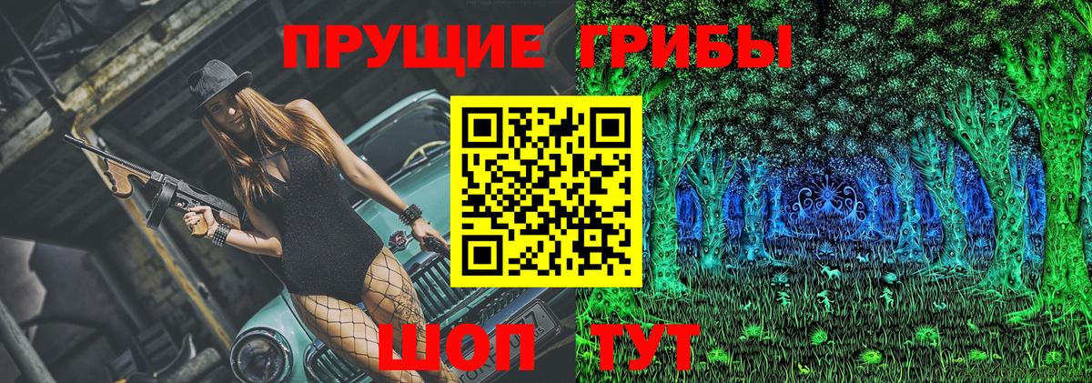 Галлюциногенные грибы Psilocybine cubensis Брянск