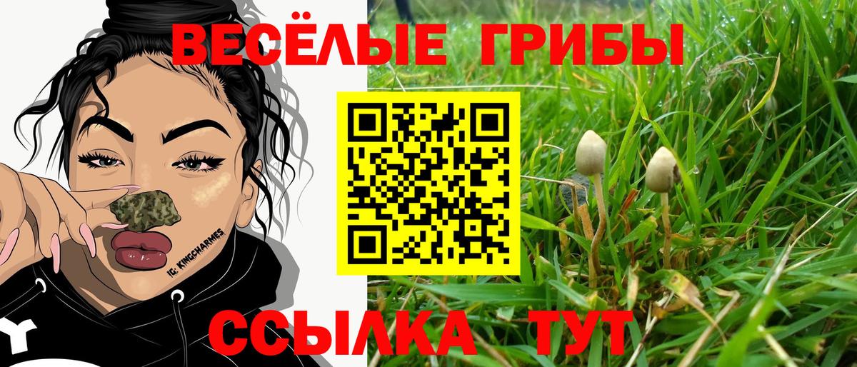 Брянск  Галлюциногенные грибы Psilocybe  Вход с VPN 