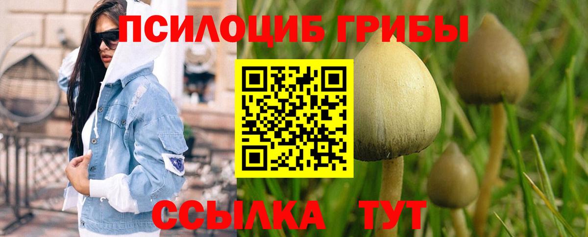 Псилоцибиновые грибы MAGIC MUSHROOMS  Брянск 